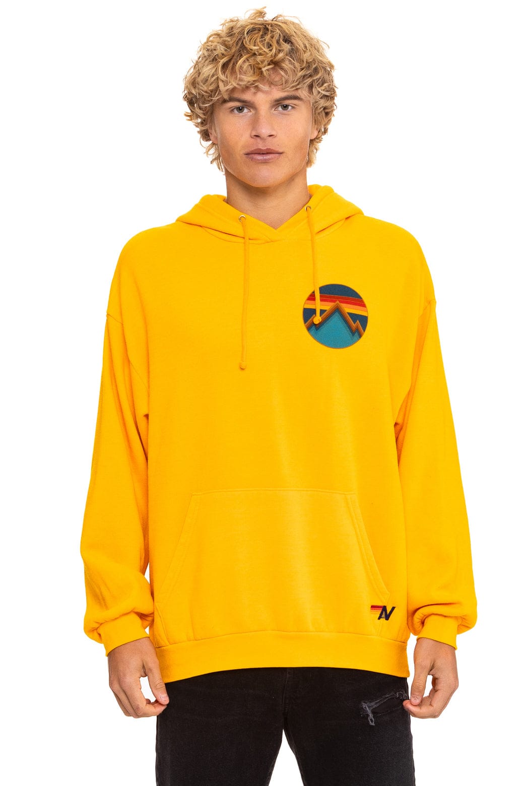 ALL SEASONS RELAXED PULLOVER HOODIE - GOLD - Image 6