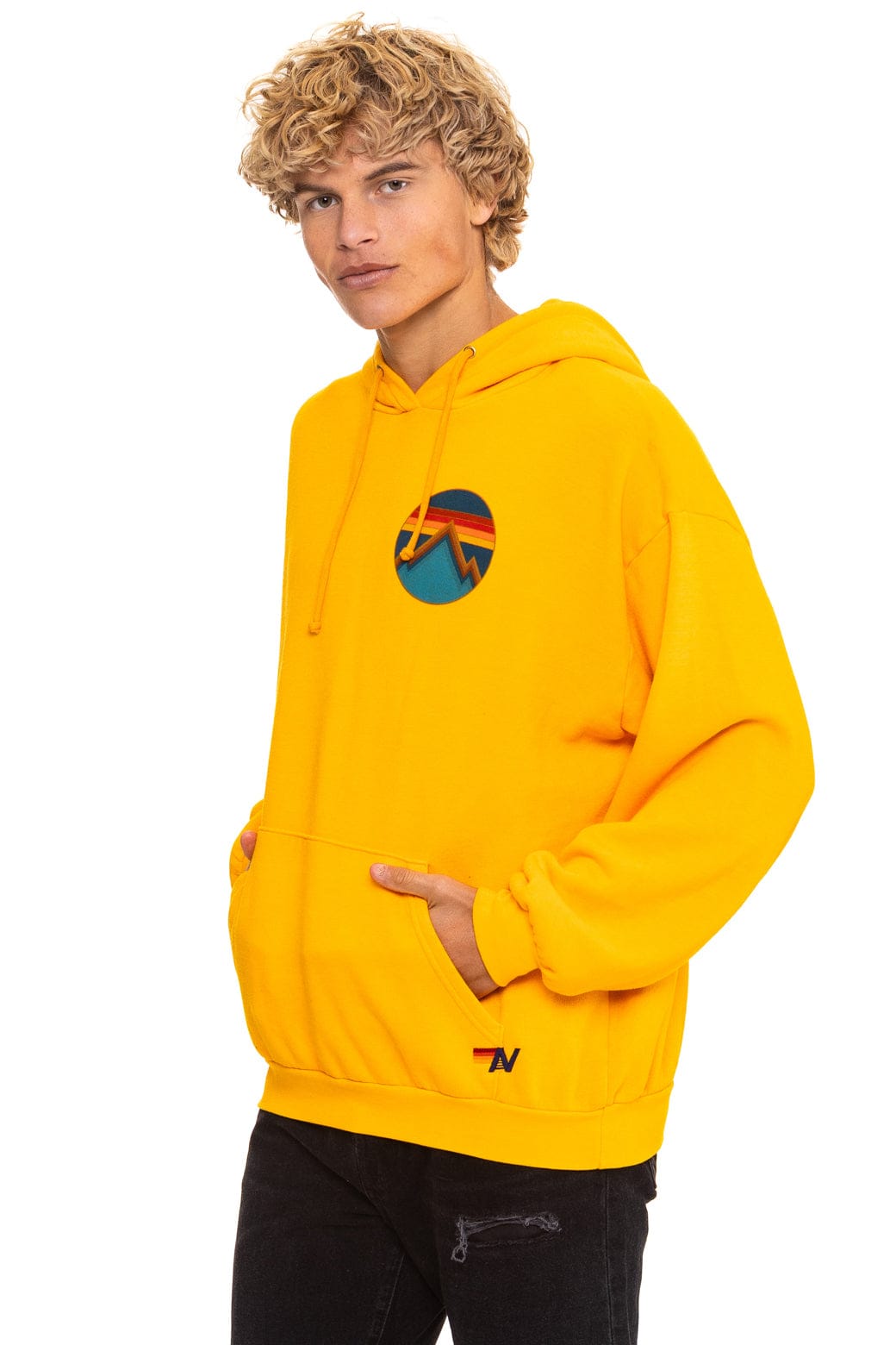 ALL SEASONS RELAXED PULLOVER HOODIE - GOLD - Image 4