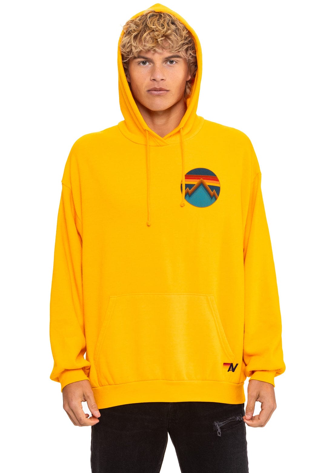 ALL SEASONS RELAXED PULLOVER HOODIE - GOLD - Image 2