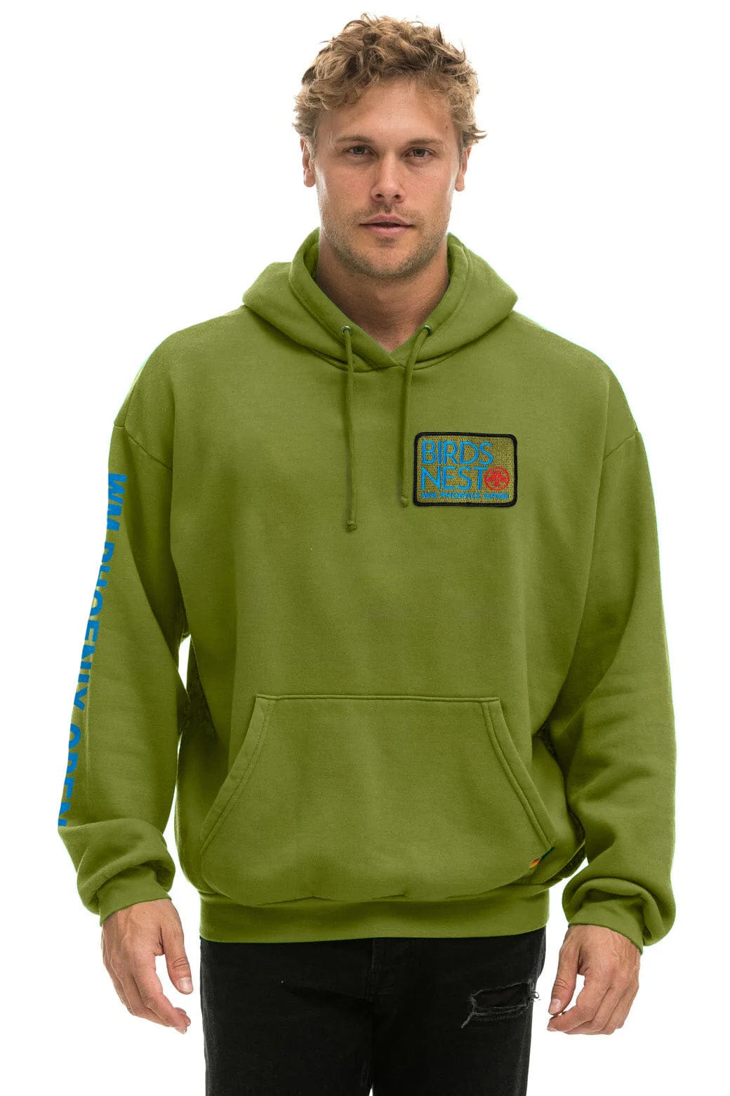 WMPO BIRDS NEST 2025 RELAXED PULLOVER HOODIE - JUNGLE GREEN - Image 2