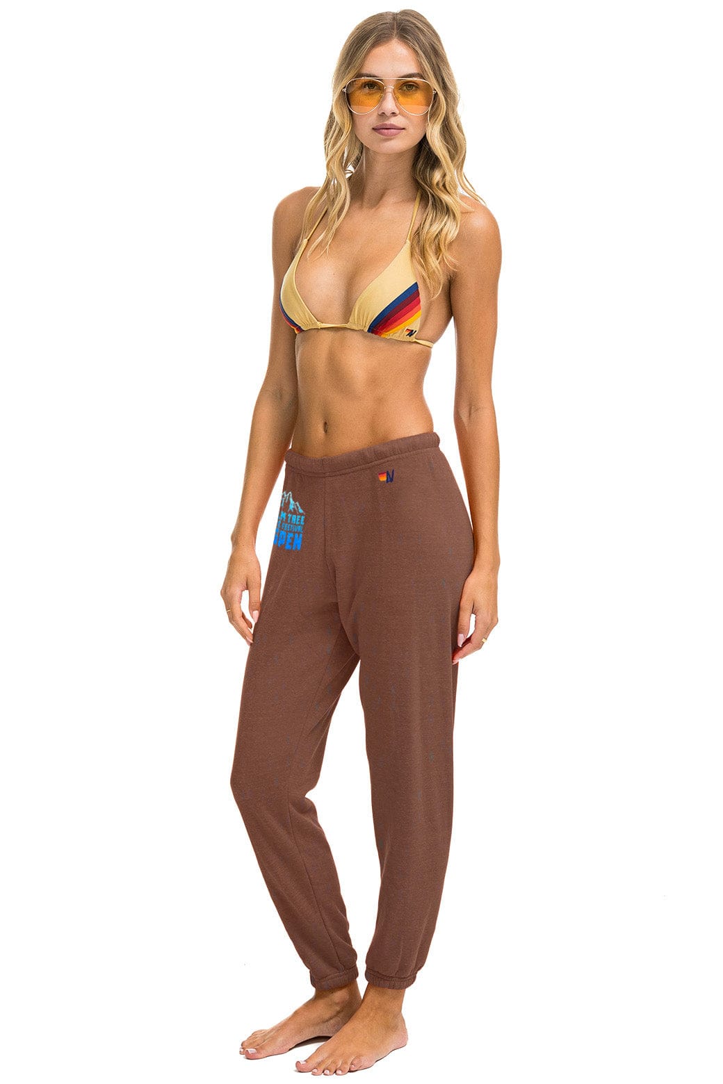 PALM TREE FESTIVAL ASPEN 2025 UNISEX SWEATPANTS - BROWN - Image 2